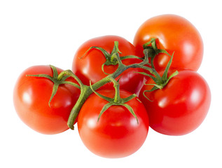 ripe tomatoes