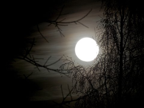 spooky moon