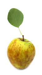Apple organic food