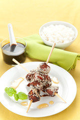 chicken skewer with sesame and soy sauce
