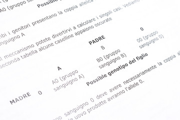 Fototapeta premium paternità