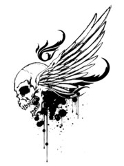 Skull with Wing