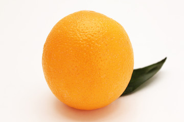 Orange with leaflet