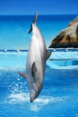 Zelfklevend Fotobehang Dolfijn springen © Mauro Rodrigues