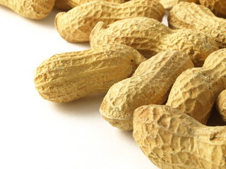 Peanuts closeup.