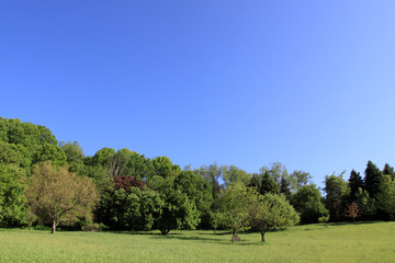 Spring Landscape on a Clear Blue Day