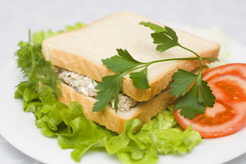 Tuna salad sandwich