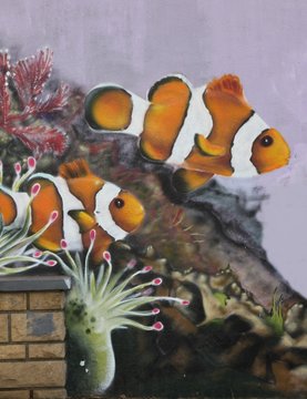 Graffiti poissons