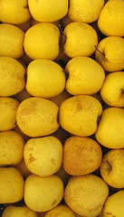 Apples yellow