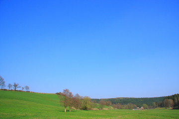 Fototapeta premium Frühling