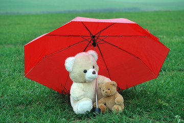Two teddy bears under red umbrella