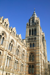 Fototapeta premium Natural History Museum