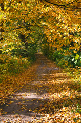 Park road