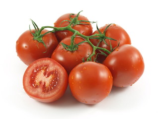 Tomatoes on vine on studio isolated background.