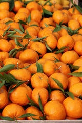Fototapeta na wymiar Many oranges on the streetmarket