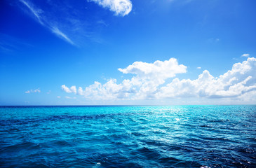 Naklejka premium ocean and perfect sky
