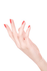Female hand on a white background