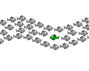 Fototapeta premium Gegen den Strom