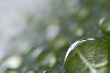 水滴