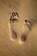 Fototapeta na wymiar Deux pieds dans le sable