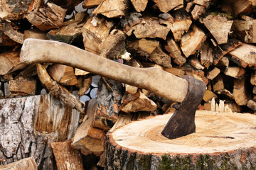 Ax stuck in a large timber