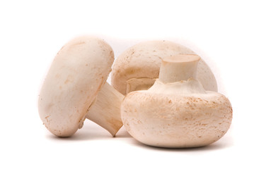 Fresh mushrooms isolated on a white background