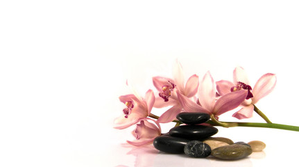 Naklejka na ściany i meble Orchid and pebbles,Zen atmosphere.