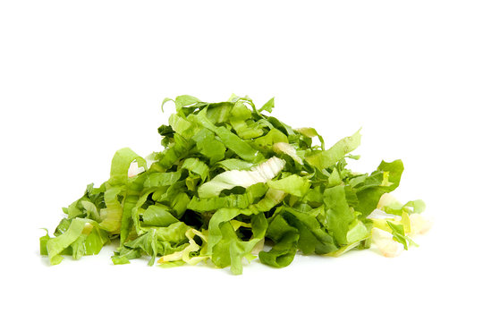 pile of fresh cut endive over white background