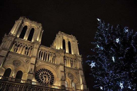 Fototapeta Christmas decoration at Notre Dame de Paris