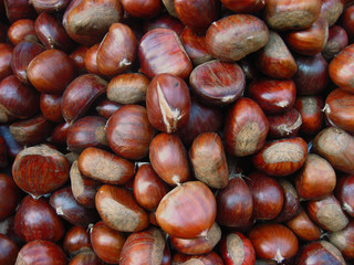 Castagne