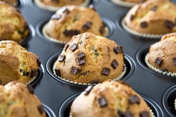 Muffins auf einem Backblech