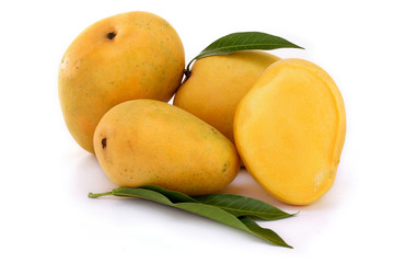 Ripe mangoes on white