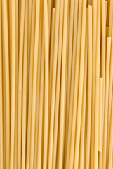 Spaghetti Closeup