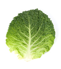 Leaf of Savoy Cabbage