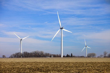 wind turbines in field