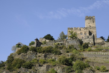 Fototapeta na wymiar Burg Gutenfels bei Kaub