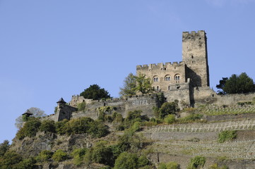 Fototapeta na wymiar Burg Gutenfels bei Kaub
