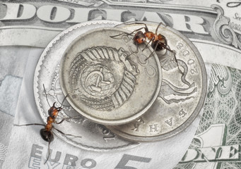 Fototapeta na wymiar zachować zmiany, mrówki i pieniądze