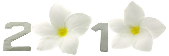 bonne année chiffres fleurs blanches 2010 fond blanc