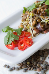 Indischer Linsensalat