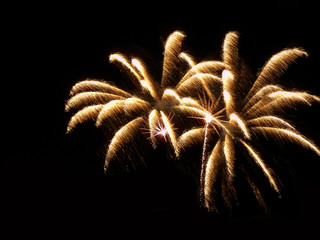 Feuerwerks Palme