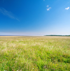 Obraz premium beautiful field and sky