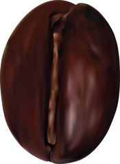 Coffee grain
