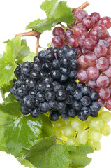 Grape food over white