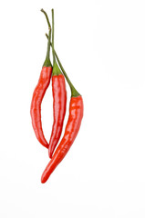 Color hot peppers isolated over white