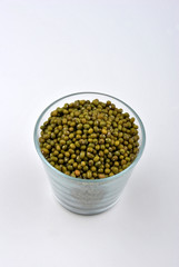 organic mung beans are good for salad