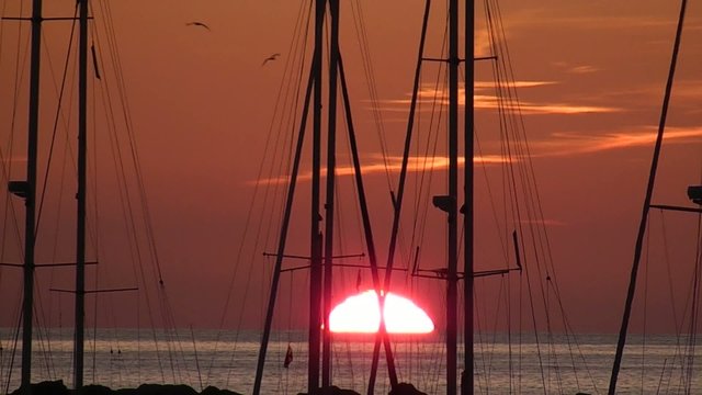 MASTILES DE EMBARCACIONES AL AMANECER