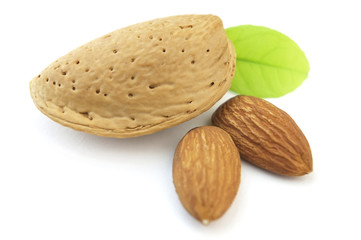 Almond with leaves
