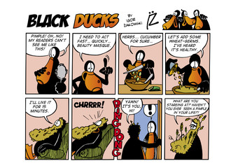 Black Ducks Comic Strip episode 37