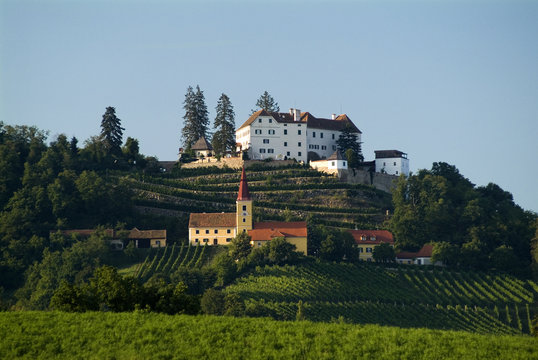 Wein H&uuml;gel Kapfenstein